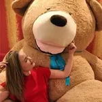 Forside - Teddyway